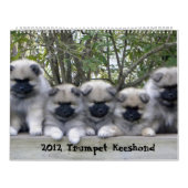 Agenda 2012 kalender (Hoes)