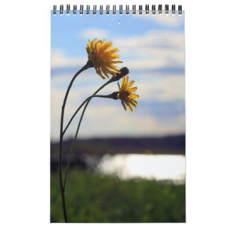 Agenda 2012 kalender