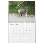 Agenda 2012 - Katten Kalender (Feb 2026)