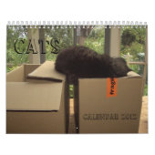 Agenda 2012 - Katten Kalender (Hoes)