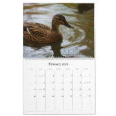 Agenda 2012: Tijd, ruimte en nieuwe werelden Kalender (Feb 2026)