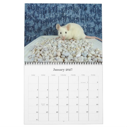 Agenda 2012 van de muis kalender (Jan 2027)