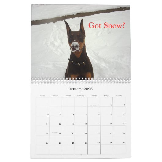 Agenda 2012 van Doberman Kalender (Jan 2026)