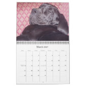 Agenda 2012 van SundayStyle Edition Kalender (Mar 2027)