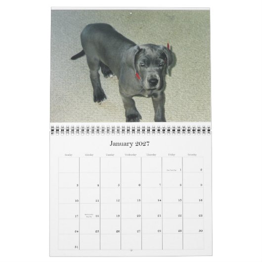 Agenda 2012 van SundayStyle Edition Kalender (Jan 2027)