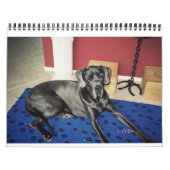 Agenda 2012 van SundayStyle Edition Kalender (Hoes)