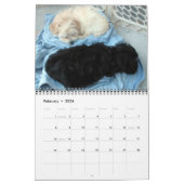 Agenda 2012 voor de reddings-Puppies van Havanna Kalender (Feb 2026)