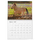 Agenda 2012 voor RTR-paarden Kalender (Feb 2027)