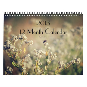 Agenda 2013 12 maanden kalender