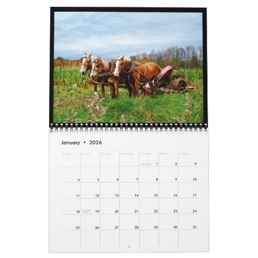 Agenda 2013 Amish Country and Old Barns Calendar Kalender (Jan 2026)