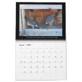 Agenda 2013 - Belangrijkste Afbeeldingen Kalender (Mar 2027)