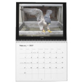 Agenda 2013 - Belangrijkste Afbeeldingen Kalender (Feb 2027)