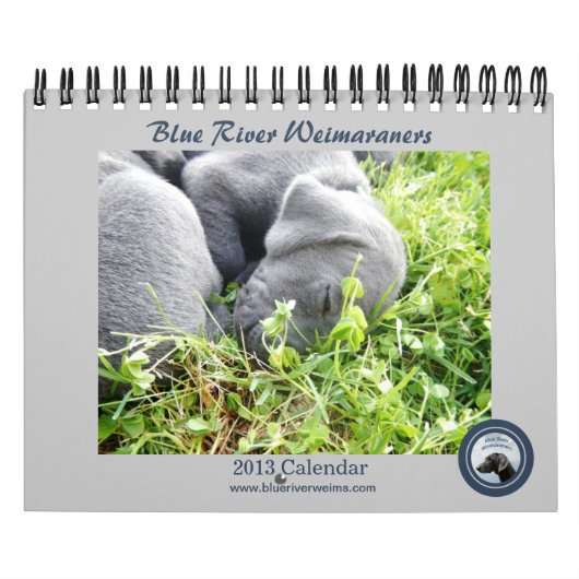 Agenda 2013 Blauwe rivierweimaraners Kalender (Hoes)
