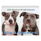 Agenda 2013 Blu & Sinatra Kalender (Hoes)