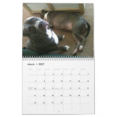 Agenda 2013 Blu & Sinatra Kalender (Mar 2027)