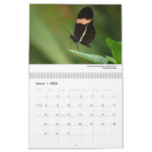 Agenda 2013 - Butterflies and Moths Kalender (Mar 2026)