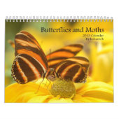 Agenda 2013 - Butterflies and Moths Kalender (Hoes)