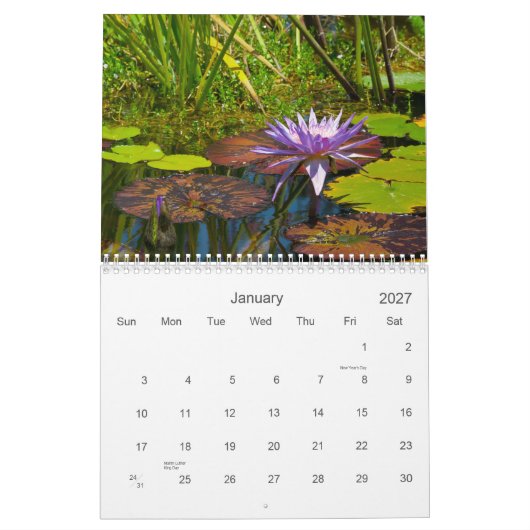Agenda 2013 - Het Collectie van de Shotwell I Kalender (Jan 2027)