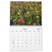 Agenda 2013 - Het Collectie van de Shotwell I Kalender (Mar 2027)
