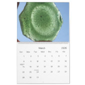 Agenda 2013 - Kabel voor foto's Kalender (Mar 2026)