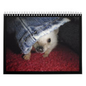 Agenda 2013 kalender (Hoes)