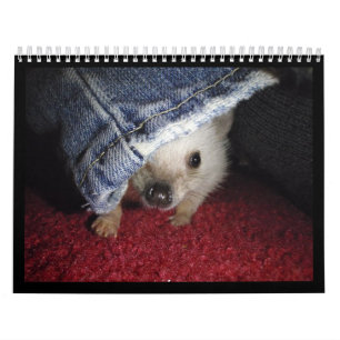 Agenda 2013 kalender