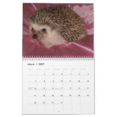 Agenda 2013 kalender (Mar 2027)
