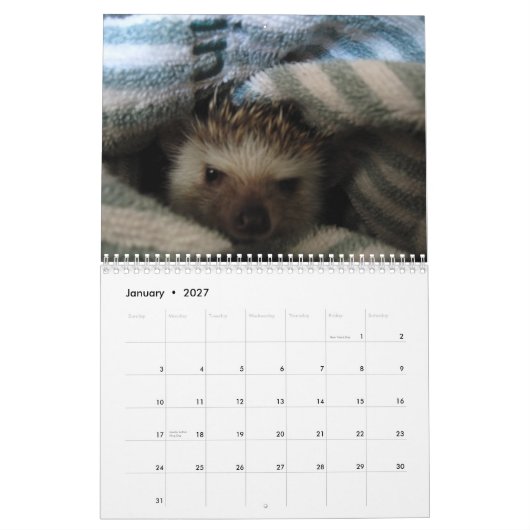 Agenda 2013 kalender (Jan 2027)