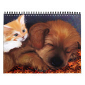 Agenda 2013 kalender (Hoes)