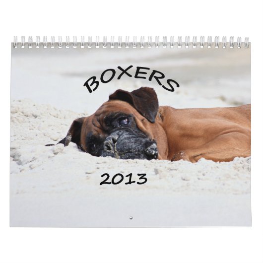 Agenda 2013 kalender (Hoes)