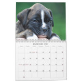 Agenda 2013 kalender (Feb 2027)