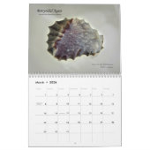 Agenda 2013 kalender (Mar 2026)