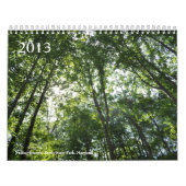 Agenda 2013 kalender (Hoes)