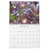 Agenda 2013 - Natuur Kalender (Feb 2027)