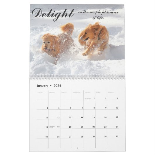 Agenda 2013 ParkerPup Kalender (Jan 2026)