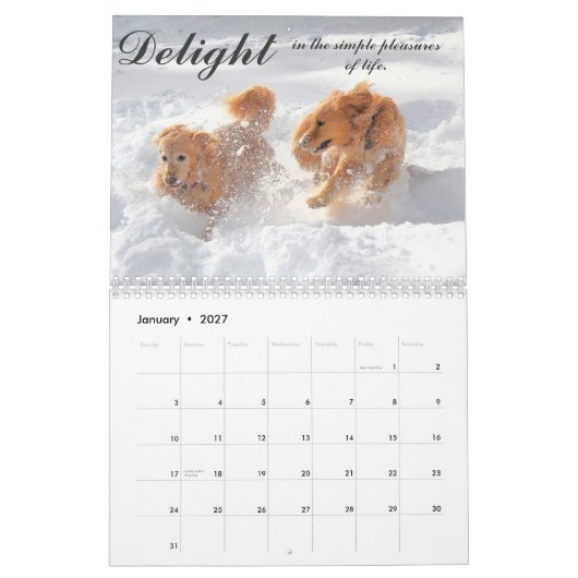 Agenda 2013 ParkerPup Kalender (Jan 2027)