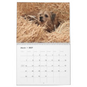 Agenda 2013 van Barn Hunt Assoc Kalender (Mar 2027)