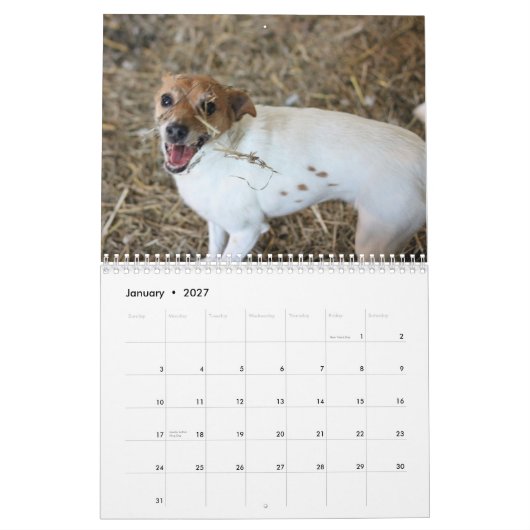 Agenda 2013 van Barn Hunt Assoc Kalender (Jan 2027)