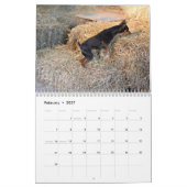 Agenda 2013 van Barn Hunt Assoc Kalender (Feb 2027)