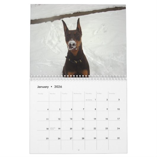 Agenda 2013 van Doberman Kalender (Jan 2026)