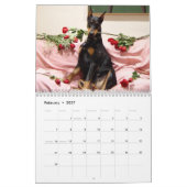 Agenda 2013 van Doberman Kalender (Feb 2027)