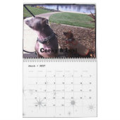 Agenda 2013 van Lexi en Friends Dog Kalender (Mar 2027)