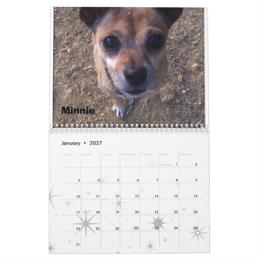Agenda 2013 van Lexi en Friends Dog Kalender (Jan 2027)