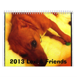 Agenda 2013 van Lexi en Friends Dog Kalender