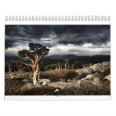 Agenda 2013 van TylerJphotoshop Kalender (Hoes)