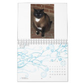 Agenda 2013 - Vijf fijne Felines Kalender (Jan 2027)
