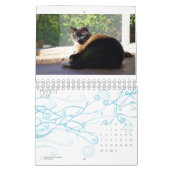 Agenda 2013 - Vijf fijne Felines Kalender (Mar 2027)