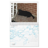 Agenda 2013 - Vijf fijne Felines Kalender (Feb 2027)