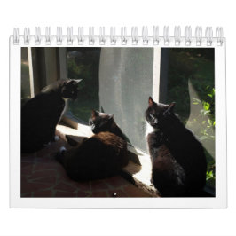 Agenda 2013 - Vijf fijne Felines Kalender