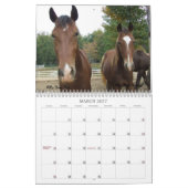 Agenda 2013 voor bergpaarden kalender (Mar 2027)